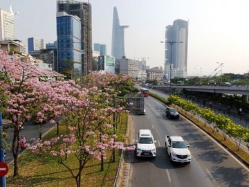 Cầu đi bộ nhiều tầng, tận dụng nước mưa... bứt lên hút bạn đọc - Ảnh 2.