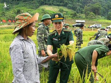 Phụ nữ BĐBP Quảng Bình hướng dẫn đồng bào dân tộc thiểu số cách nhận biết và đánh giá năng suất lúa nước. Ảnh: CTV 