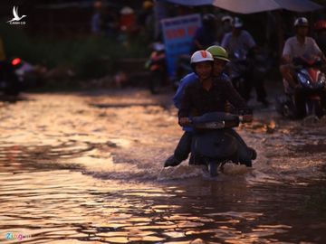 Trieu cuong dat dinh, nguoi Sai Gon bo xe be con qua duong ngap hinh anh 10 