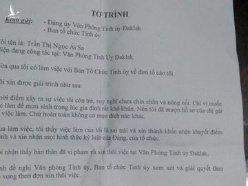 Nữ trưởng phòng dùng bằng giả: 20 năm 'voi chui lọt lỗ kim' - ảnh 1