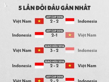 HLV Indonesia: ‘Toi biet ca diem tot va han che cua cau thu Viet Nam’ hinh anh 2 