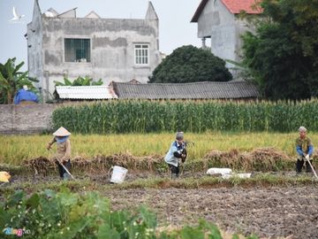 Choang voi gia san 300 ty gom biet phu, trang trai su Thich Thanh Toan-Hinh-11