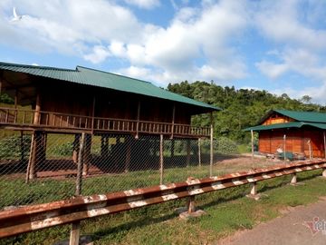 'Tôi có phải người Việt Nam không' và trăn trở của Bí thư Mường Nhé