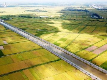 Hải Phòng đưa vào khai thác trục đường đôi gần 1.300 tỉ đồng - Ảnh 1.