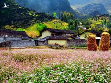 Mã Pì Lèng, cảnh báo điểm gãy của chiếc đòn bẩy