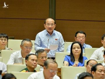 Dai bieu Quoc hoi: 'Vu Alibaba la mat bo moi lo lam chuong' hinh anh 1