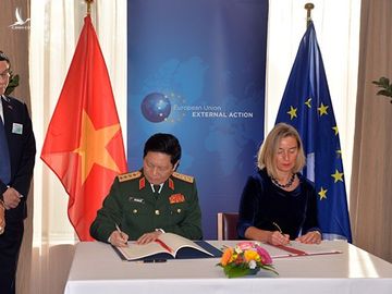 Chuyên gia châu Âu: Thỏa thuận Việt Nam-EU là sự răn đe lớn đối với những phía muốn gây căng thẳng - Ảnh 1.