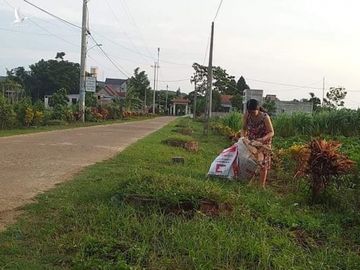 quang tri: co giao lam chuyen it nguoi biet luc rang sang hinh anh 3