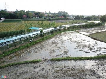 Biet phu, trang trai duoc su Toan xay dung ben canh chua Nga Hoang hinh anh 11 