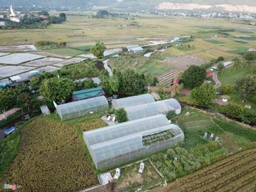 Biet phu, trang trai duoc su Toan xay dung ben canh chua Nga Hoang hinh anh 12 