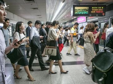 'Ppalli ppalli' bí quyết tạo nên Kỳ tích sông Hàn của Hàn Quốc