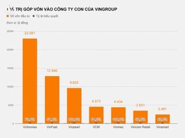 Vingroup da rot bao nhieu tien vao oto va dien thoai? hinh anh 2 