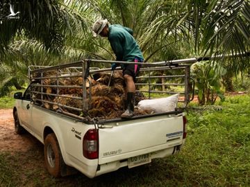 Cho dân vay lãi suất 0% để mua ô tô, xe giá rẻ có cửa sống