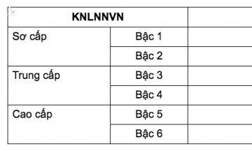 50% lãnh đạo trẻ từ cấp phòng ở TƯ phải có trình độ ngoại ngữ bậc 4