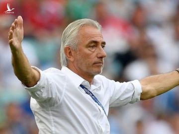 HLV Bert Van Marwijk nói vì không có VAR nên UAE mới thua Việt Nam - Ảnh 1.