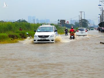 tp.hcm: ha lan de xuat lam cong trinh chong ngap khoang 1,266 ty do hinh anh 1