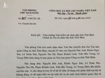 Làm rõ vụ 'ma túy đêm tân hôn' tại Thái Bình - ảnh 1