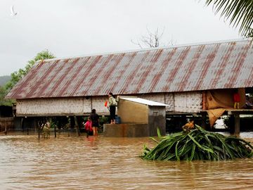 Những căn nhà ở buôn Yang Lăh, xã Đăk Liêng, huyện Lăk, sáng 11/11. 