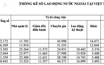 Người Trung Quốc chiếm hơn 30% số người nước ngoài nhập cảnh vào Việt Nam - ảnh 1