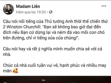 shark lien: "nem da vao moi con cho tren duong" nham muc dich gi? hinh anh 1