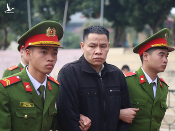 Chủ mưu Vì Văn Toán nói bà Hiền biết con gái đi giao gà bị bắt cóc - Ảnh 1.
