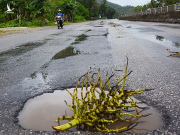 Va 'o voi' tren quoc lo bang bao cat, buong dua hinh anh 3 