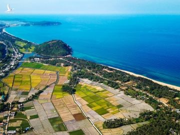 Va 'o voi' tren quoc lo bang bao cat, buong dua hinh anh 1 