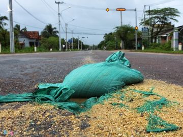 Va 'o voi' tren quoc lo bang bao cat, buong dua hinh anh 6 