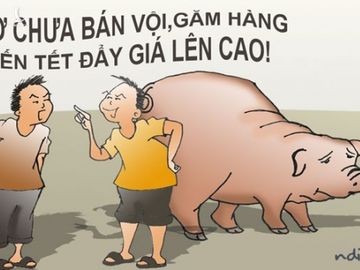 Khi rớt giá thì yêu cầu giải cứu, lúc giá cao thì giở thói găm hàng - 1