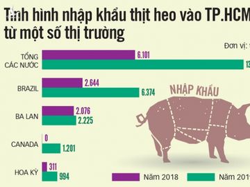 Thịt heo bị đầu cơ thao túng giá, ra quân kiểm tra đồng loạt - Ảnh 4.