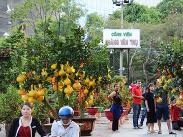 Người Sài Gòn nôn nao chở hoa Tết, vui chơi ngập nhiều ngả đường: Tết về tận cửa! - ảnh 10