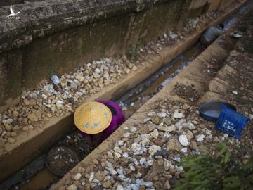 Hồng ngọc có thể được tìm thấy ở nơi không ai ngờ như rãnh thoát nước nối với các mỏ. 