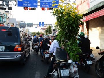 Người Sài Gòn nôn nao chở hoa Tết, vui chơi ngập nhiều ngả đường: Tết về tận cửa! - ảnh 2