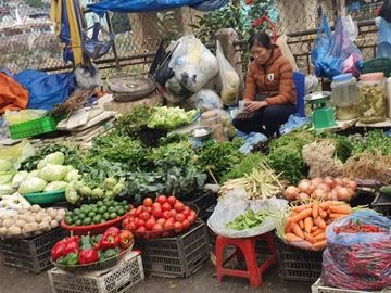 Mung 4 Tet: Rau xanh, thuy hai san tai Ha Noi tang gia manh hinh anh 1