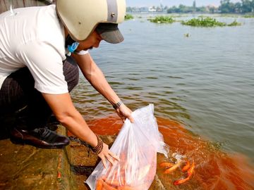 Theo phong tục người Việt, vào ngày 23 tháng Chạp hàng năm, các gia đình sẽ chuẩn bị cá chép để thả ra sông, hồ tiễn ông Công ông Táo về trời.