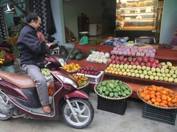 Hình ảnh người Đồng Tâm trưng đào, quất cảnh đón Tết - 7