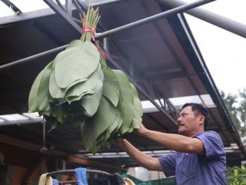 Mổ lợn gói bánh chưng đón Tết ở Đồng Tâm - 8