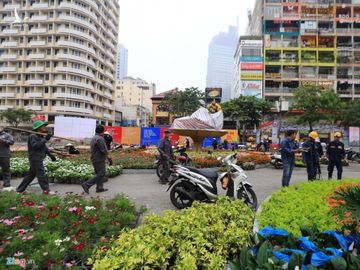 Duong hoa Nguyen Hue ruc ro sac mau truoc ngay khai mac hinh anh 9 duonghoanguyenhue_zing26.JPG