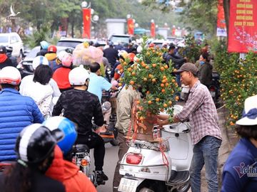 Hà Nội 29 Tết: Rộn ràng mặc cả, ngàn khách chôn chân giữa đường