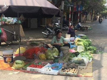 Mung 4 Tet: Rau xanh, thuy hai san tai Ha Noi tang gia manh hinh anh 2