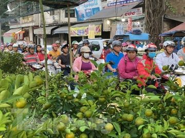 Người Sài Gòn đổ xô đi mua hoa, đường sá kẹt cứng vào cuối ngày - ảnh 3