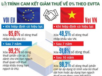 9-10 năm nữa, thuế xe hơi nhập từ châu Âu được xóa bỏ - Ảnh 2.