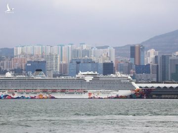 Chuyen di 'bao tap' cua du thuyen bi hat hui Westerdam hinh anh 3 download.jpg