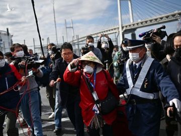 Ca tu vong moi tren du thuyen o Nhat gay lo ngai virus da 'lot luoi' hinh anh 2 du_thuyen_3_AFP.jpg