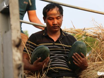 Người Sài Gòn xếp hàng ‘giải cứu’ dưa hấu, có người mua cả tấn làm từ thiện - Ảnh 7.