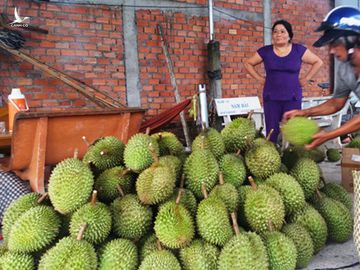 Ngân hàng đầu tiên hạ lãi vay xuống 3% cho doanh nghiệp ‘dính’ virus Corona - ảnh 1