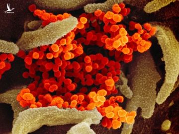 Chuyên gia nói về độ phụ thuộc của virus corona vào thời tiết hình ảnh 1 chuyen gia noi ve do phu thuoc cua virus corona vao thoi tiet hinh anh 1