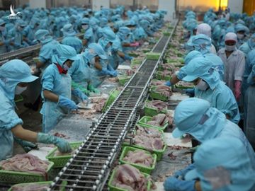 Ngân sách hụt thu, Hải Phòng vẫn muốn chi 269 tỉ đồng mua ấm chén quà tặng - ảnh 1
