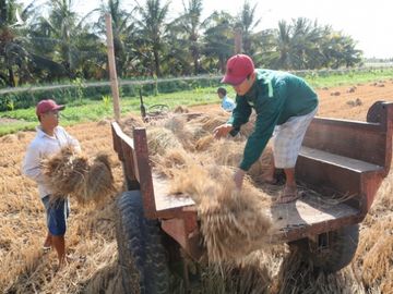 Miền Nam sắp vào đợt triều, hạn mặn tăng mạnh chưa có dấu hiệu dừng - Ảnh 2.