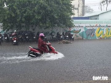 Cà Mau mưa vàng, ngập nửa bánh xe ngay giữa mùa khô - Ảnh 2.